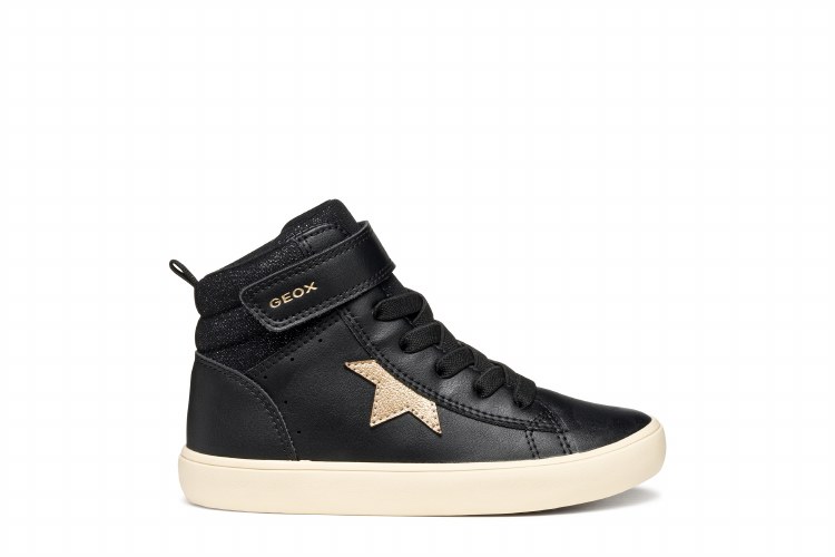 Gisli Black/ Champagne