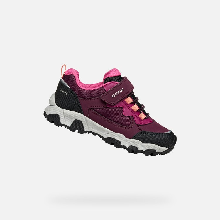 Magnetar Bordeaux 5 UK / 38 EU