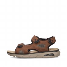 29151 Brown 10.5 UK / 45 EU