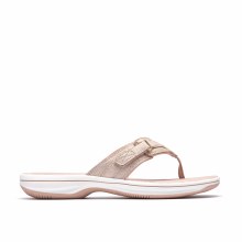 Brinkley Sea Dusty Rose 4 UK /
