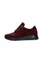 H - Hiroko Merlot 6.5
