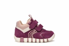 Iupidoo Purple/Rose 7 UK / 24