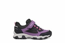 Additional picture of Magnetar Violet/Black