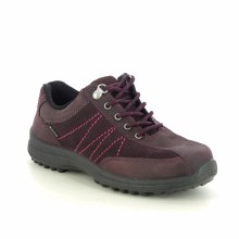 Mist GTX Wine 7 UK / 41 EU Bur