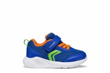 Sprintye Royal/ Orange 5.5 UK