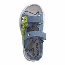 Additional picture of Raptor Pavone/ Petrol 2.5 UK /