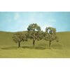 BAC 32007 WALNUT TREES