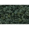 WOO FC 136 MED GREEN UNDERBRUSH