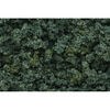 WOO FC 136 MED GREEN UNDERBRUSH