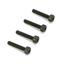 DUB 2117 2.5x8mm CAP SCREWS