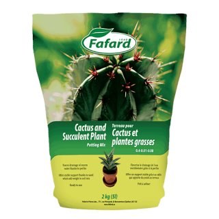 Fafard Cactus and Succulent Plant Potting Mix - 5 L