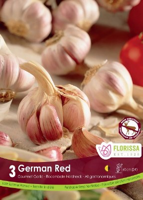 Pkg.3 - GARLIC Nov. German Red Hardneck Tops