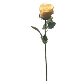 Romantic Rose Bud Stem Yellow