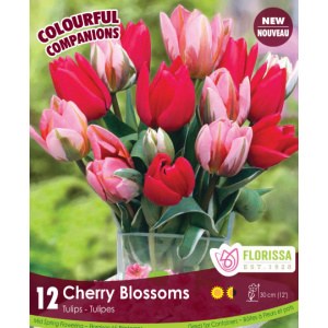 Pkg. 12 COMPANION Cherry Blossoms