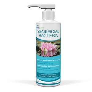 Beneficial Bacteria for Ponds - Liquid 8oz