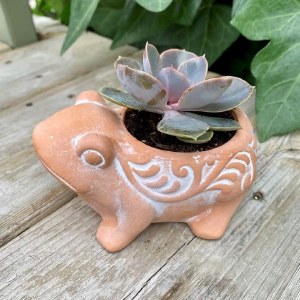Terracotta Frog Pot