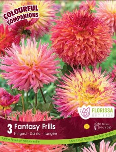 Pkg.3 DAHLIA Fantasy Frills