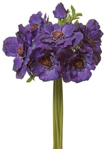 12.5 Anemone Bundle