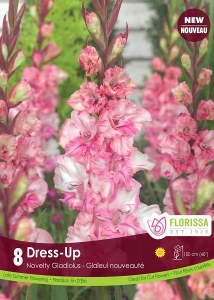 Spring Bulbs Gladiolus Dress Up
