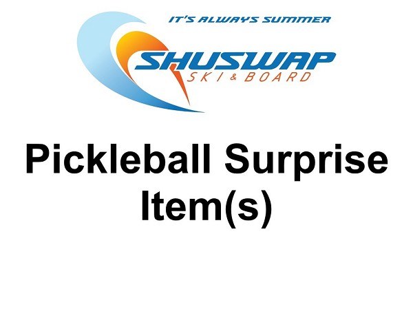 Pickleball Surprise Item(s) - add to shopping cart for a surprise in the box