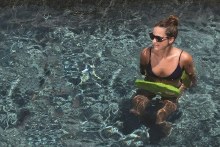 Additional picture of O'Brien Super Saddle - XL - Green/Blue/Green