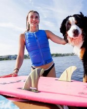 Additional picture of Follow Women's Total Impact Vest - Blue Medium DD
