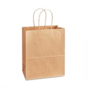 N02124 - 8 x 4.5 x 10.6" x Small Kraft Paper Bag W/Hdle 250 - cs