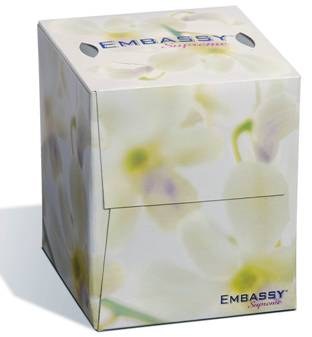 08906 - Embassy Cube Facial Tissue 2-Ply 36 x 100 - cs