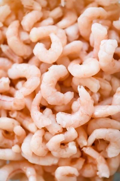 Salad Shrimp 350/500 - bag