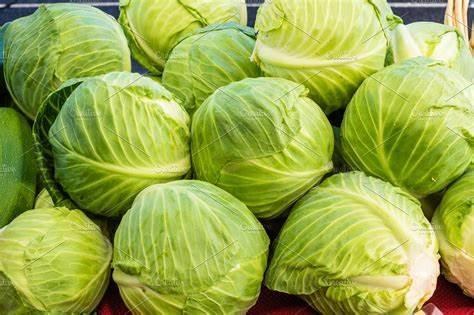 Cabbage Green 50 lbs - cs