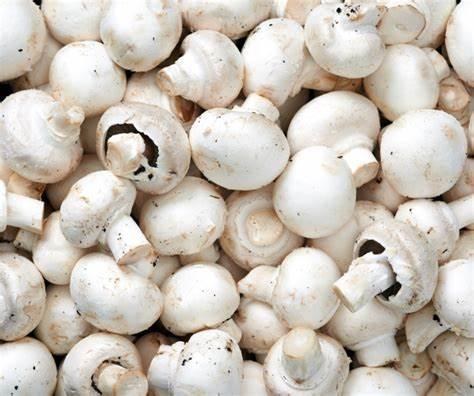 Mushrooms White #1 (10LB) Bulk - cs