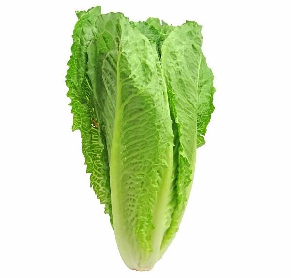 Romaine Lettuce 6x4 - cs