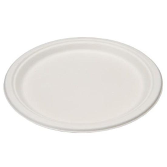 ECORP10-SC-10" x Renewable & Compostable Sugarcane Plates 500 - cs