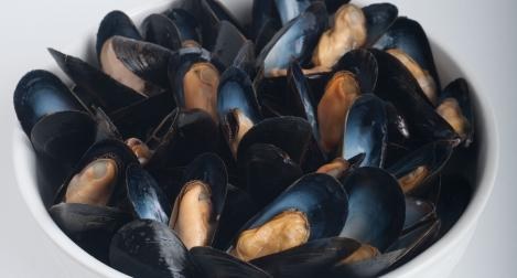Highliner PEI Mussels Shell On FC 24-32ct - 1lb - BAG