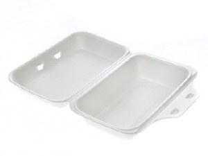FST99 - 8.75in x 5.5in x 3" x  Foam Hinged Container 200 - cs