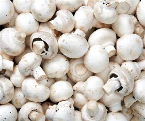 Mushrooms White #1 (10LB) Bulk - cs