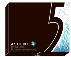 Five Gum Ascent -Wintermint 10/Box (42703) (12)