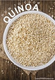 Quinoa Seed 5kg Bulk - White - Agrofusion (39424)(35020)(00405)