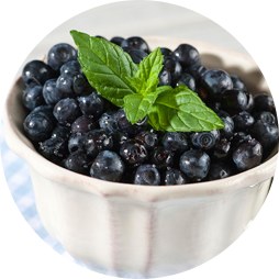 Alasko Frozen IQF Wild Blueberries -1KG (5) (00202)