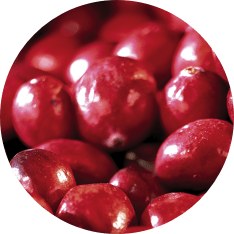 Alasko Frozen IQF Cranberries - 1KG (5) (00192)