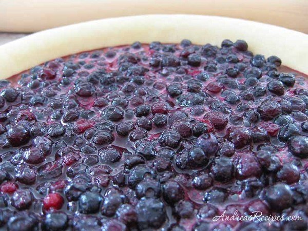 Blueberry Pie Filling Lynch 12 kg (27201)