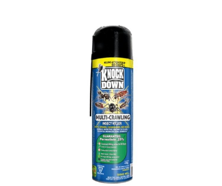 Knockdown Crawling Insect Killer - Aerosol - 438g (12) (22100)