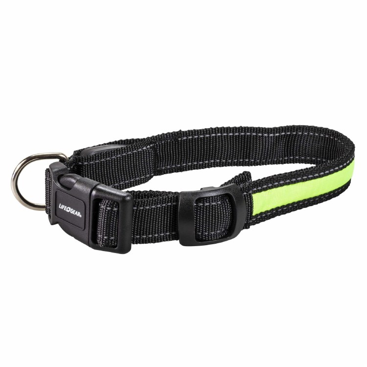 Lifegear Night Walker Glow LED USB Rechargeable Pet Leash - 5ft (43951)