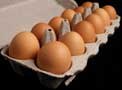 Egg Carton large Pulp Pkg of 240