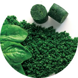 Alasko Chopped Spinach - 30g portions - 1KG (10) (26060) - SOLD BY BAG