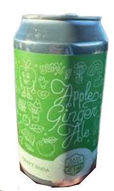 Upstreet East Coast Craft Soda Apple Ginger Ale Soda - 24/cs (50642)