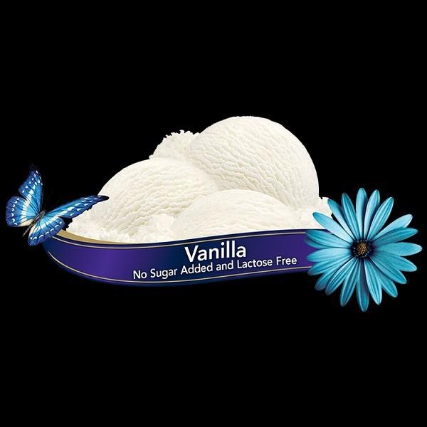 Chapman's NSA Lactose Free VANILLA Ice Cream - 11.4L (01187)