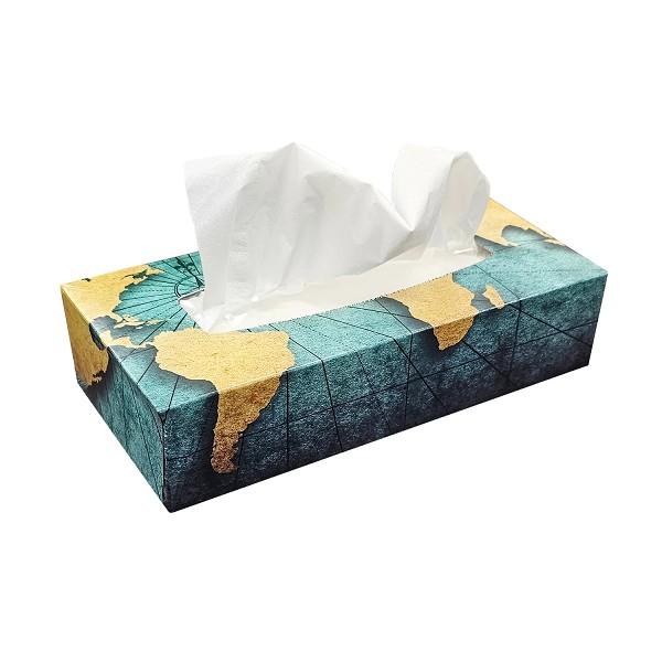 Globe Facial Tissue - 30 x 100/BOX (00481)