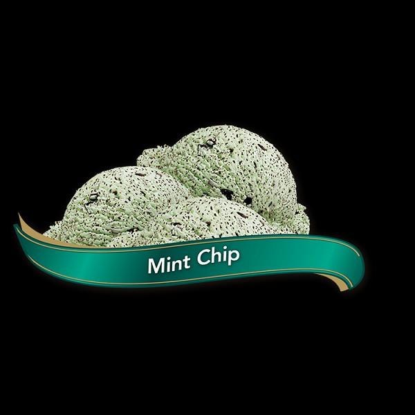 Chapman's Markdale MINT CHIP Hard Ice Cream - 11.4L (01013)