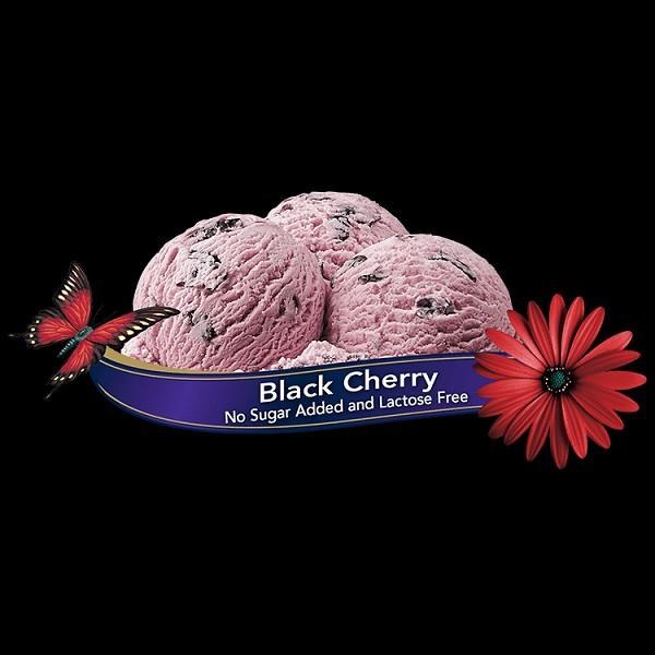 Chapman's NSA Lactose Free BLACK CHERRY Ice Cream - 11.4L (01141)